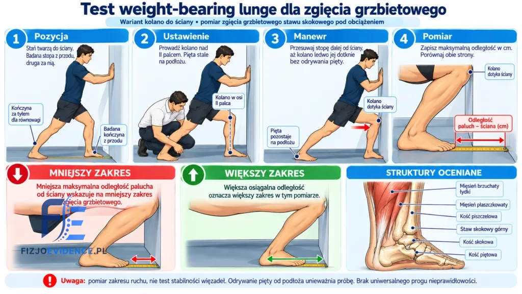 Test weight-bearing lunge dla zgięcia grzbietowego