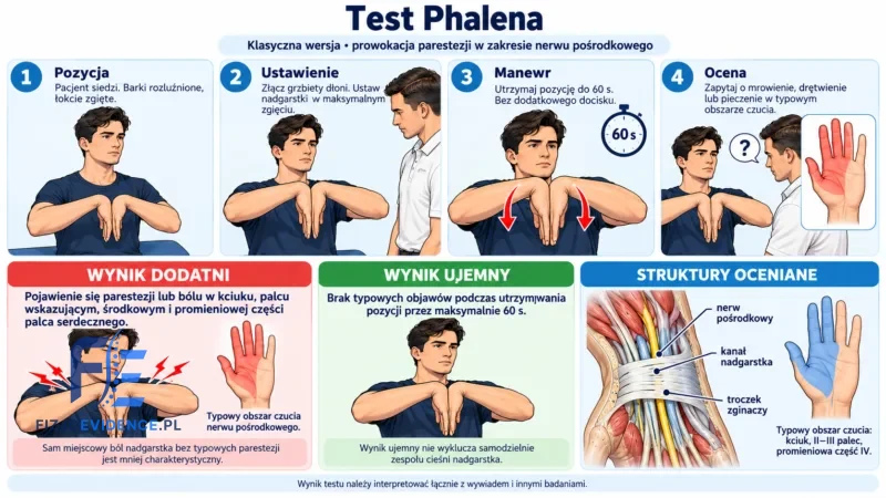 Test Phalena