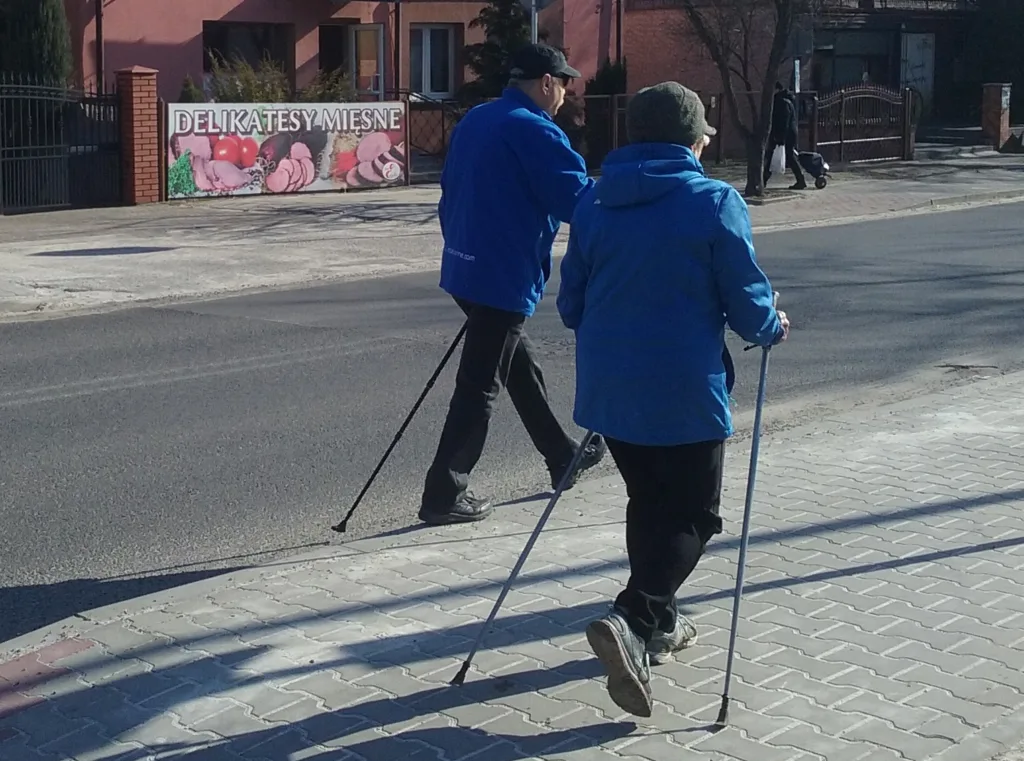 Osoby podczas marszu z kijkami, widziane od tyłu.